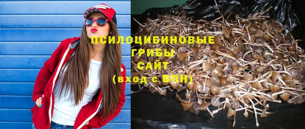 каннабис Алзамай